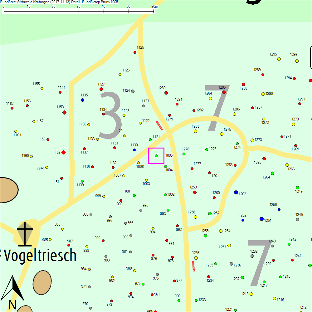 Detailkarte zu Baum 1005