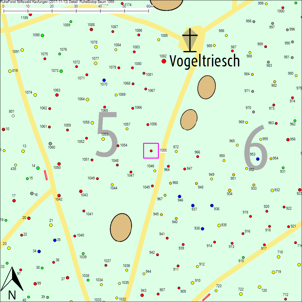 Detailkarte zu Baum 1055