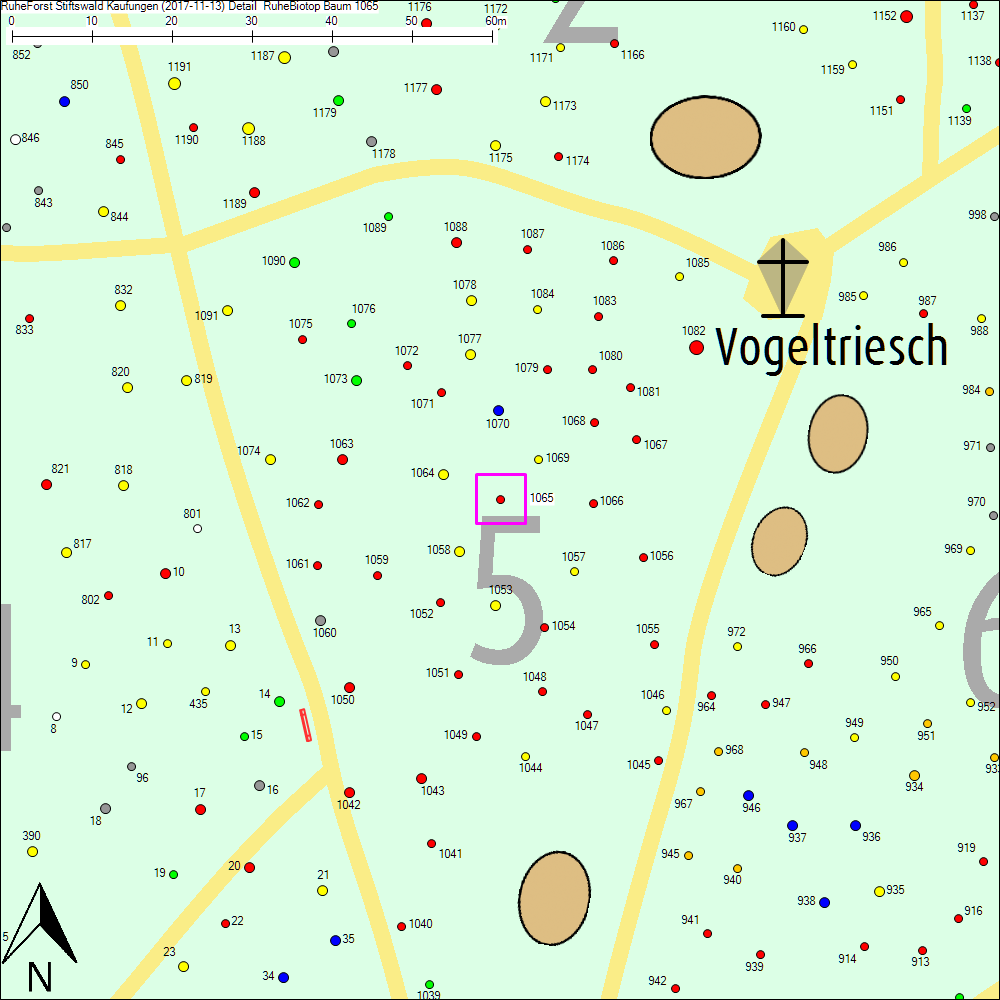 Detailkarte zu Baum 1065