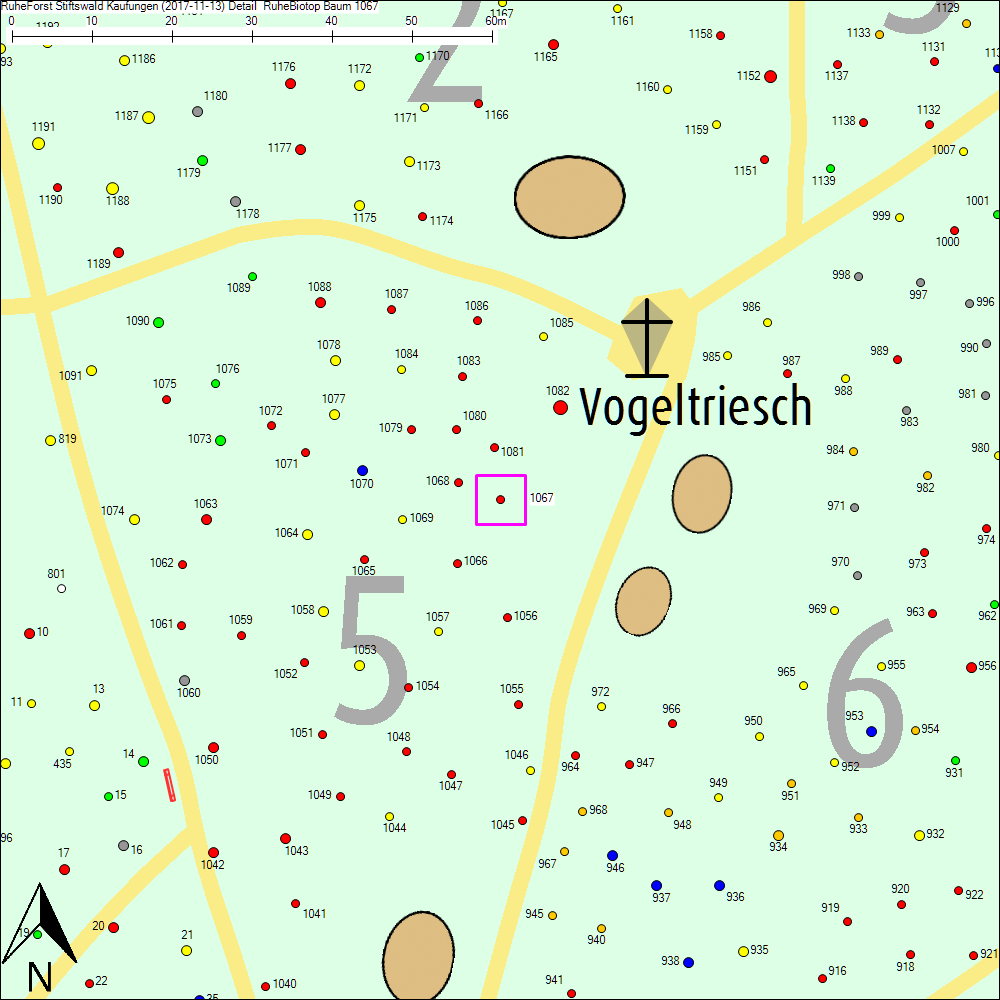 Detailkarte zu Baum 1067