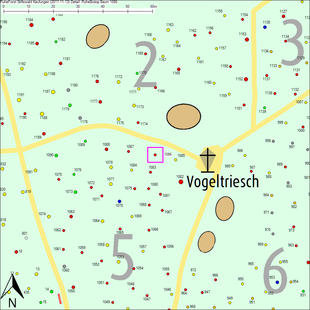 Detailkarte zu Baum 1086