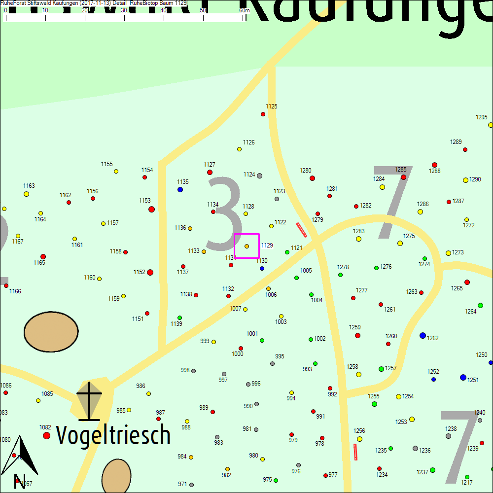 Detailkarte zu Baum 1129