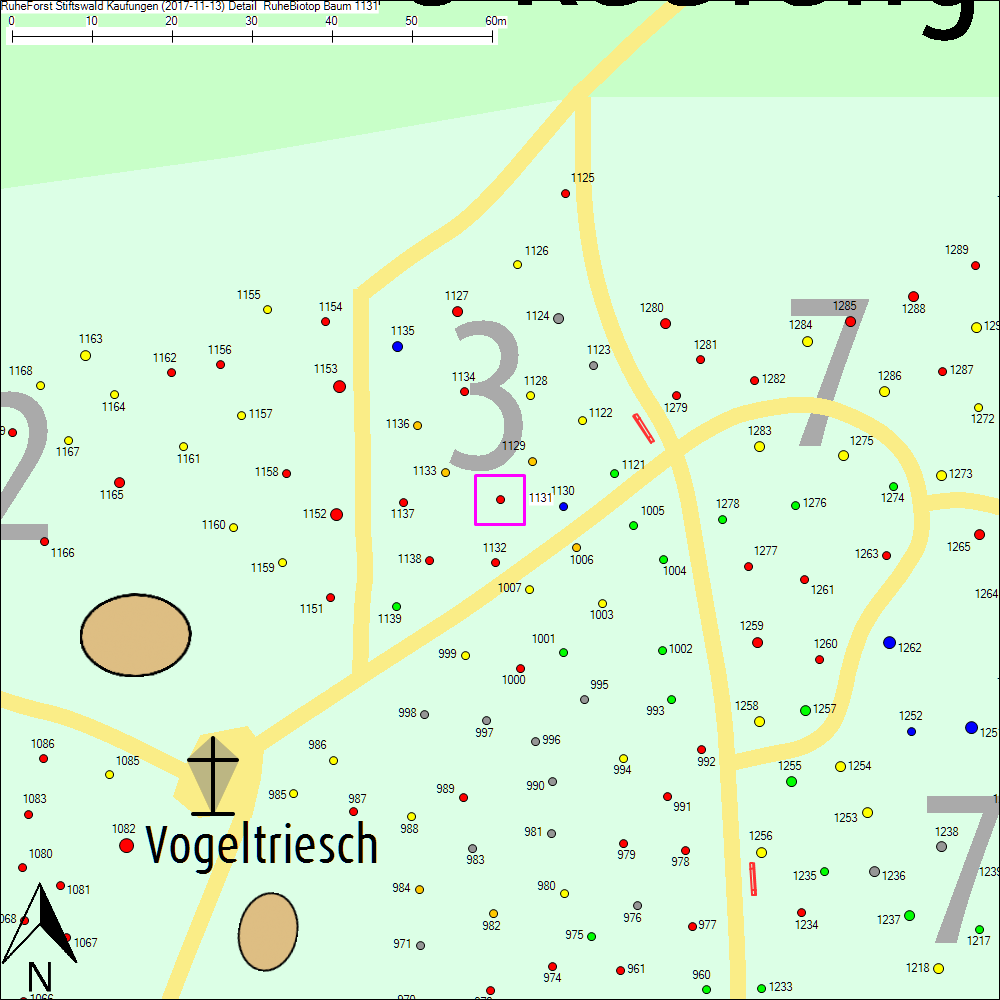 Detailkarte zu Baum 1131