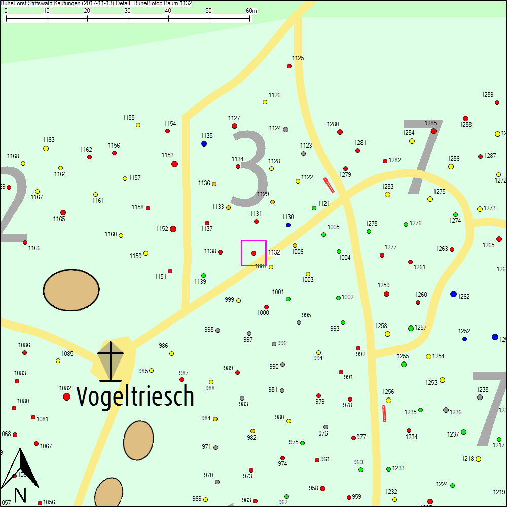 Detailkarte zu Baum 1132