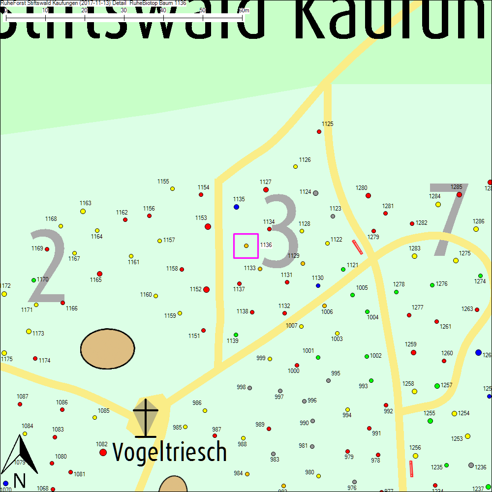 Detailkarte zu Baum 1136