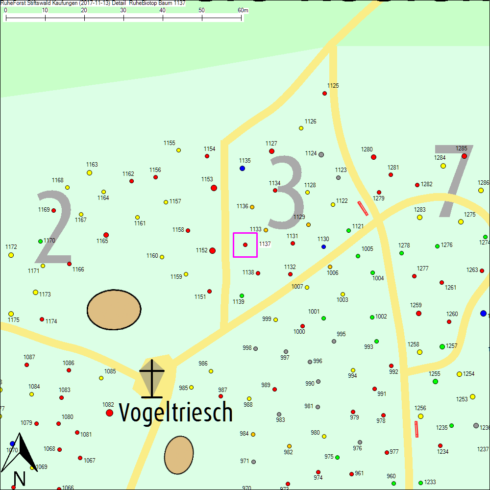 Detailkarte zu Baum 1137