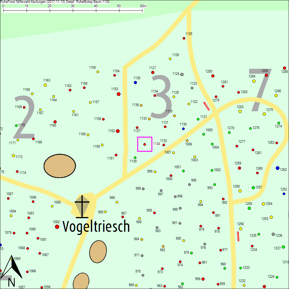 Detailkarte zu Baum 1138