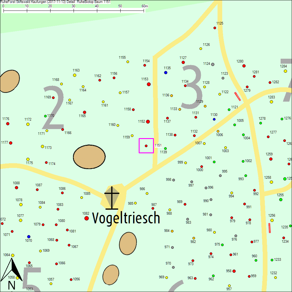 Detailkarte zu Baum 1151