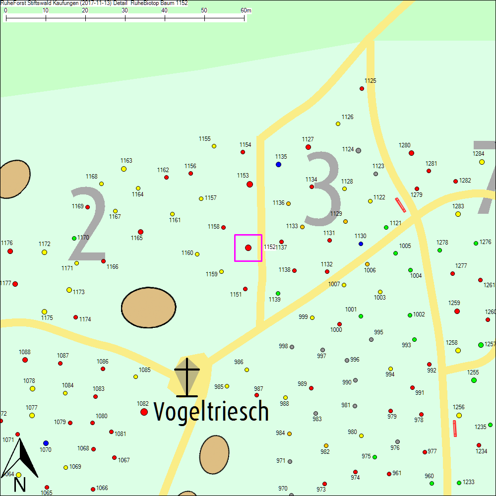Detailkarte zu Baum 1152