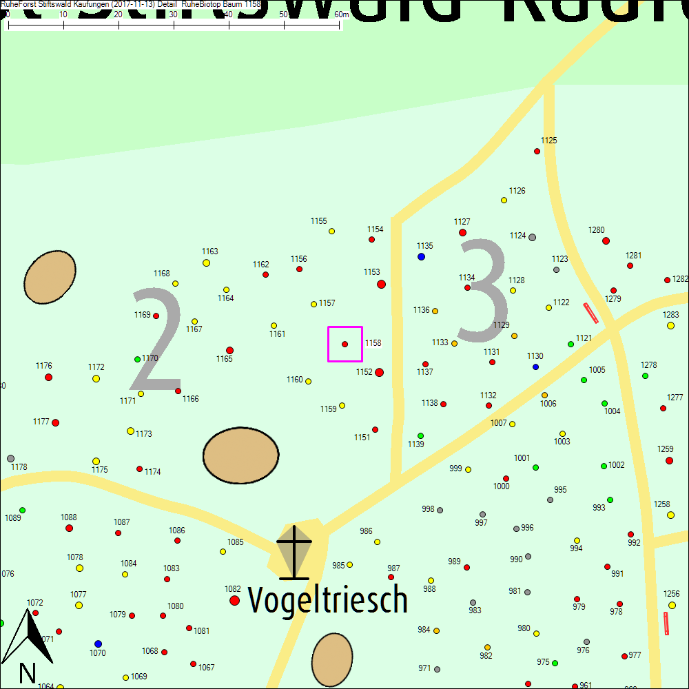 Detailkarte zu Baum 1158