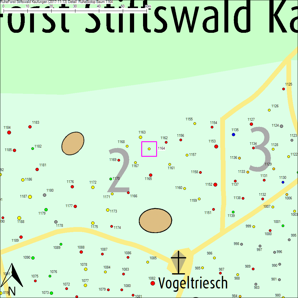 Detailkarte zu Baum 1164