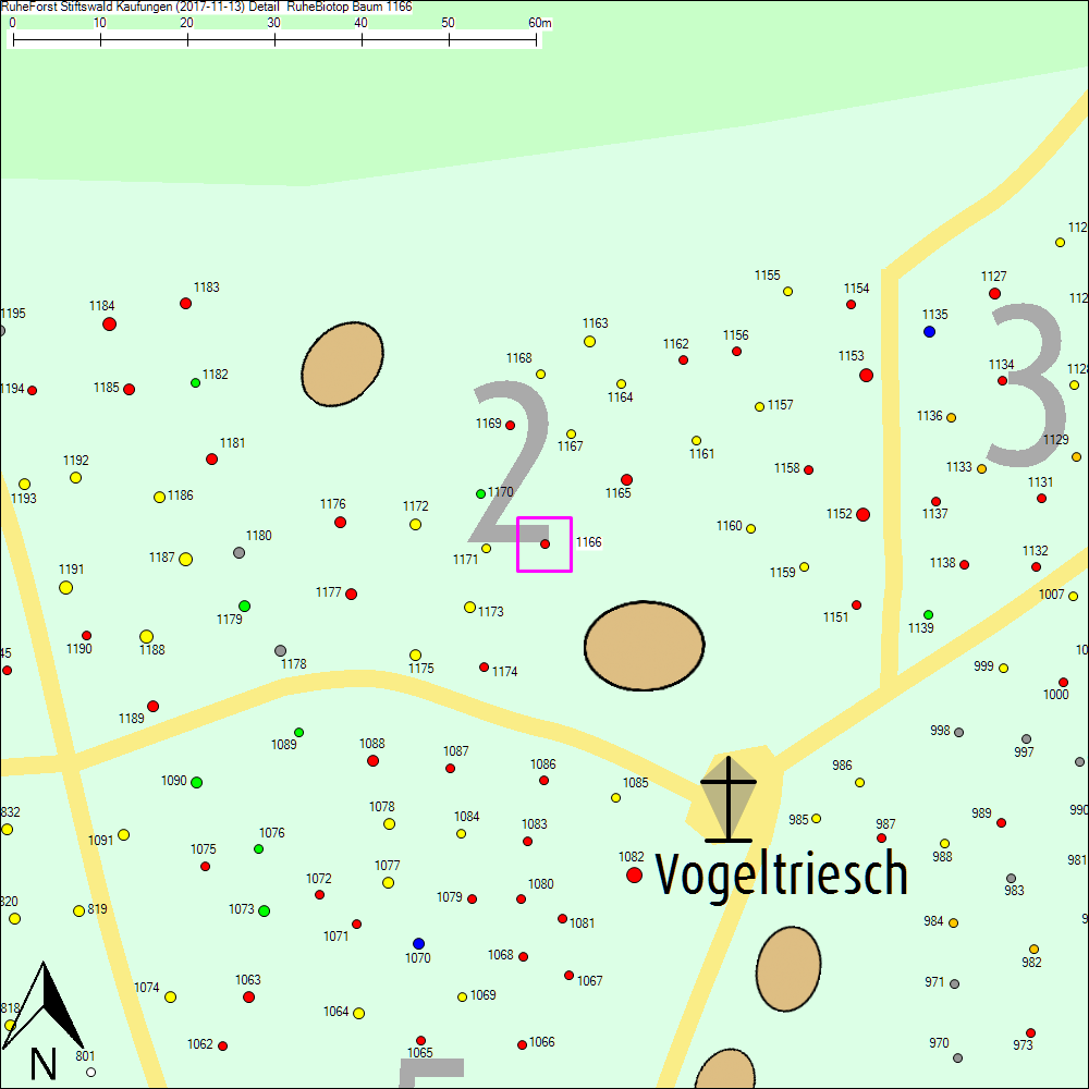 Detailkarte zu Baum 1166
