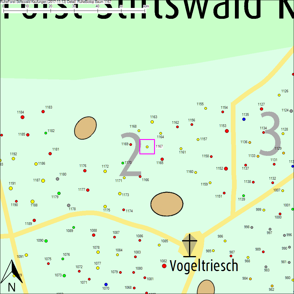 Detailkarte zu Baum 1167
