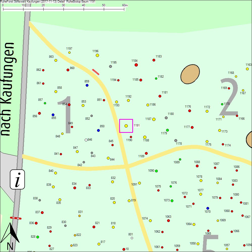 Detailkarte zu Baum 1191