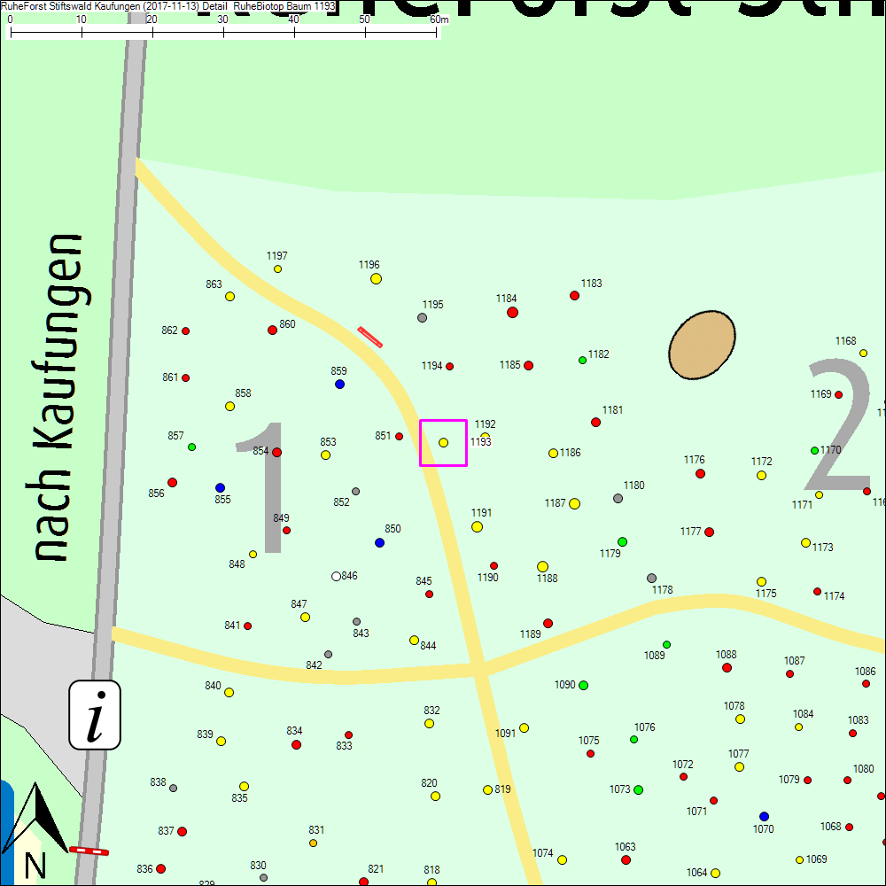 Detailkarte zu Baum 1193