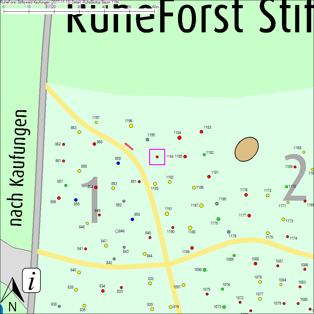 Detailkarte zu Baum 1194