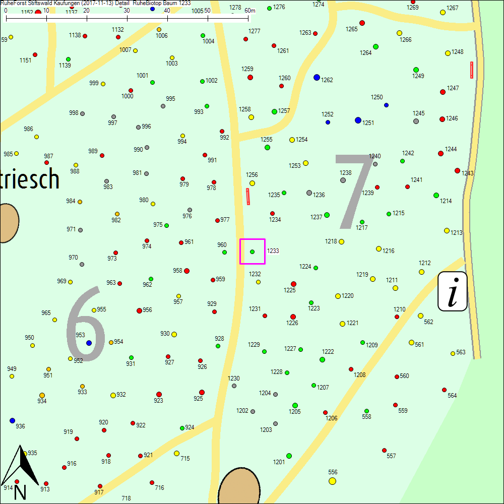 Detailkarte zu Baum 1233