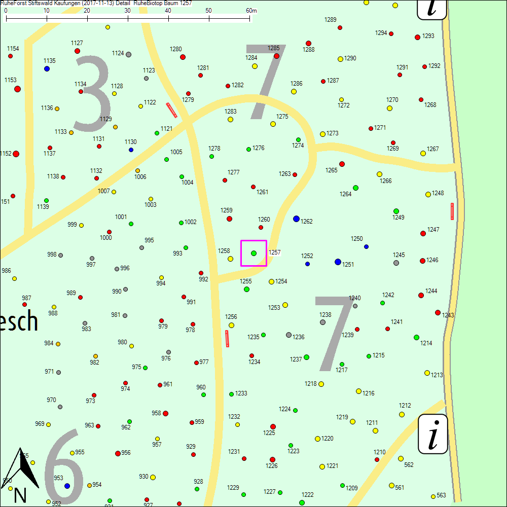Detailkarte zu Baum 1257