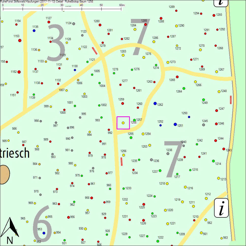 Detailkarte zu Baum 1258