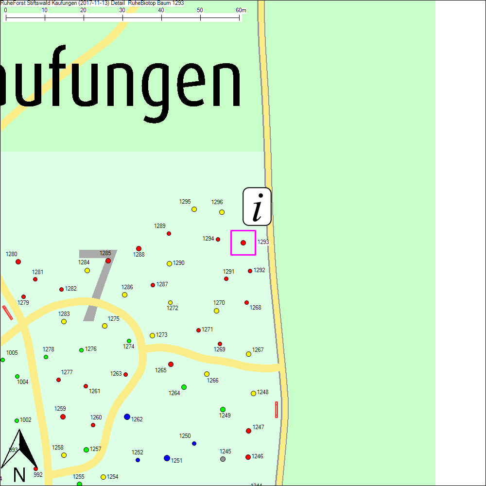 Detailkarte zu Baum 1293