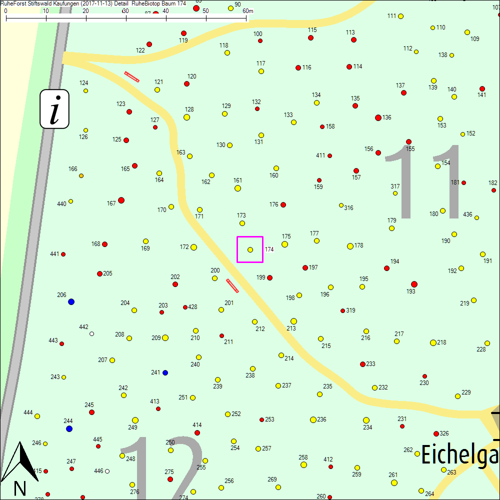 Detailkarte zu Baum 174