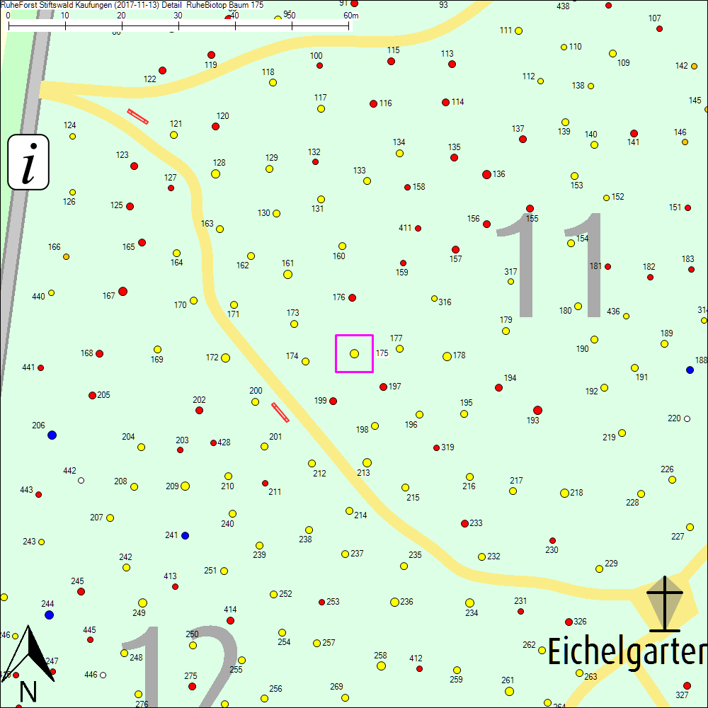 Detailkarte zu Baum 175