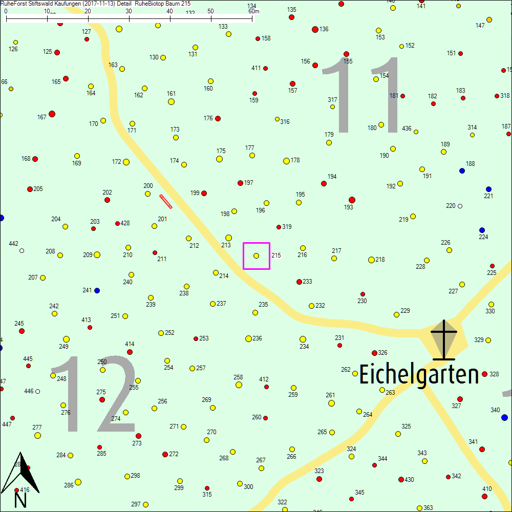 Detailkarte zu Baum 215