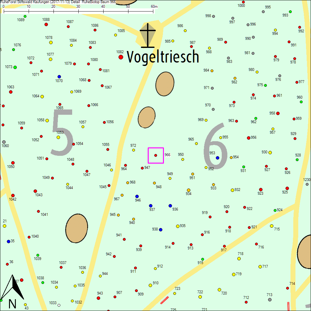 Detailkarte zu Baum 966