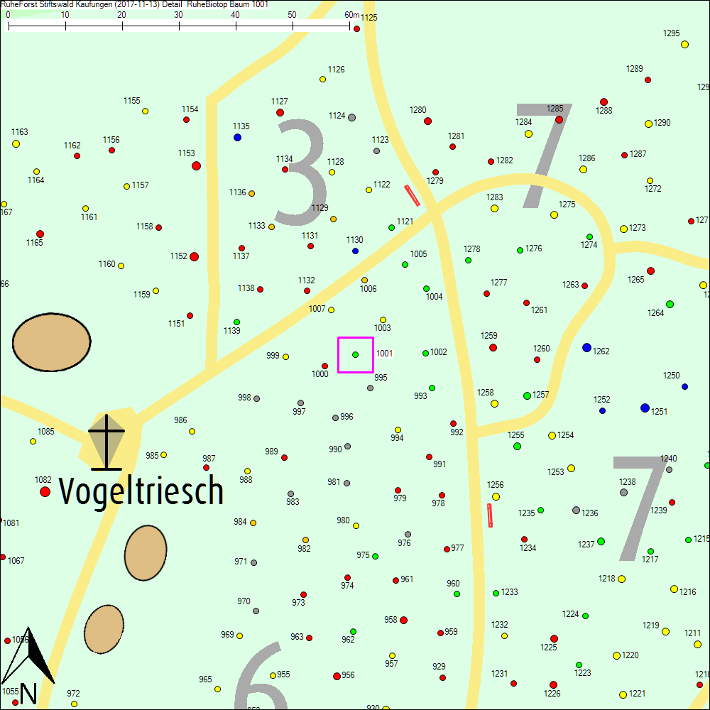 Detailkarte zu Baum 1001
