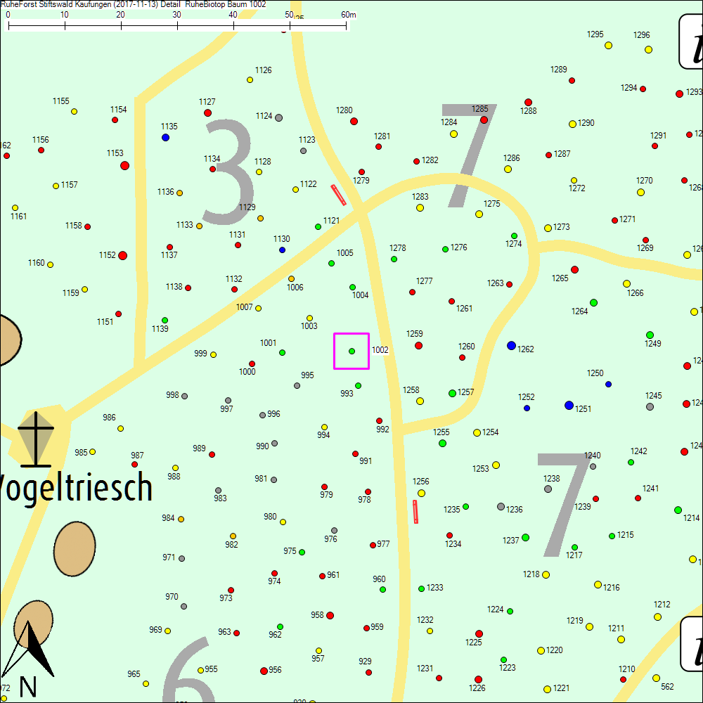Detailkarte zu Baum 1002