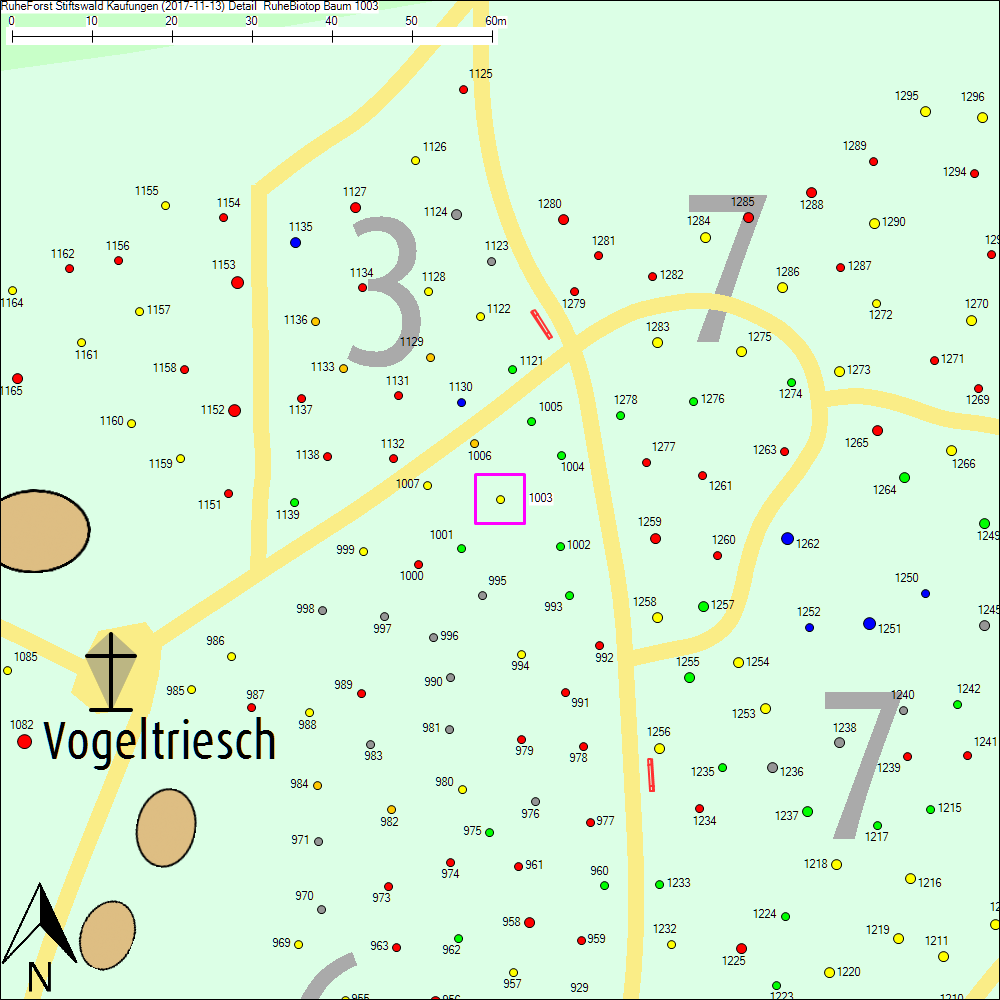 Detailkarte zu Baum 1003