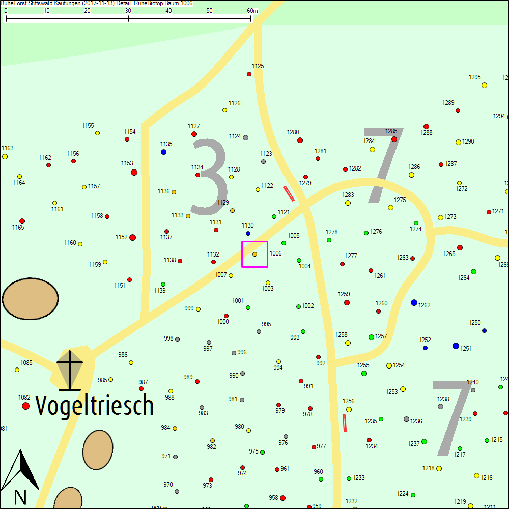 Detailkarte zu Baum 1006