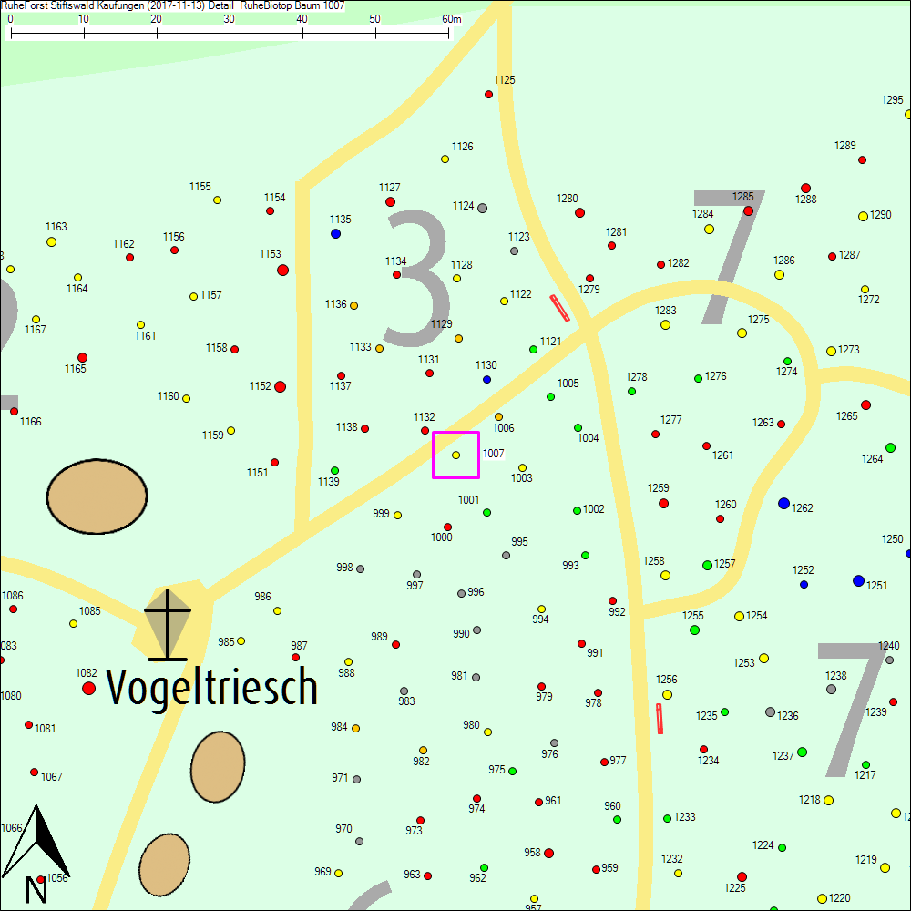 Detailkarte zu Baum 1007