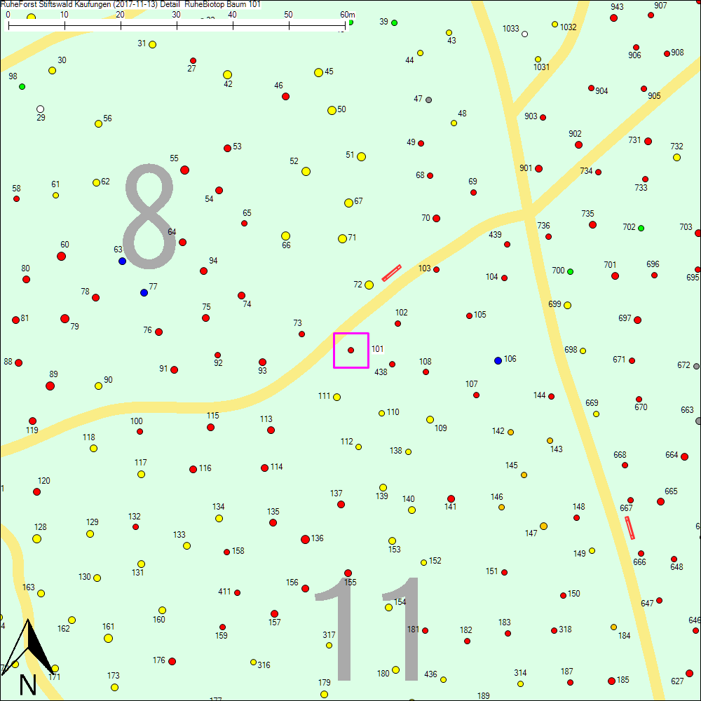 Detailkarte zu Baum 101