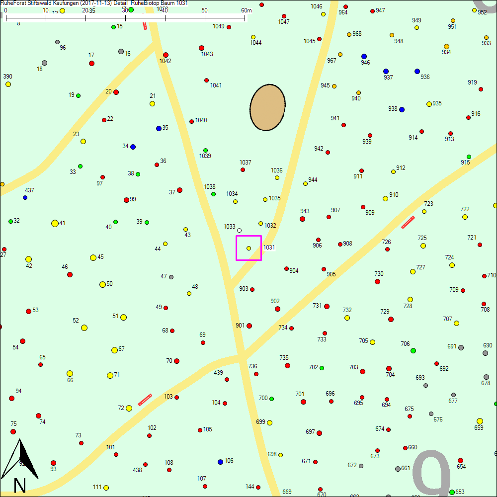 Detailkarte zu Baum 1031