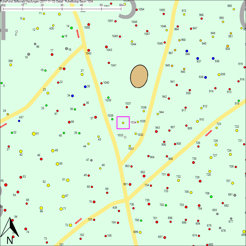 Detailkarte zu Baum 1034
