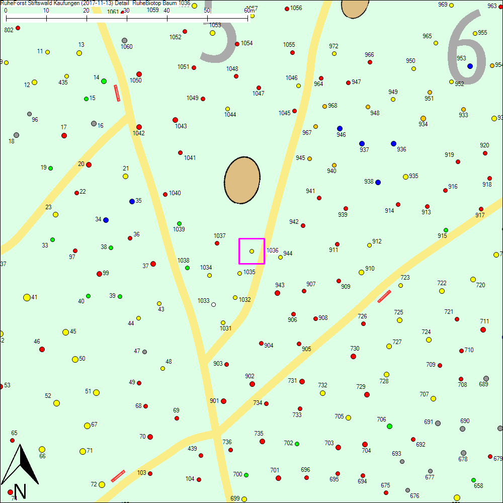 Detailkarte zu Baum 1036