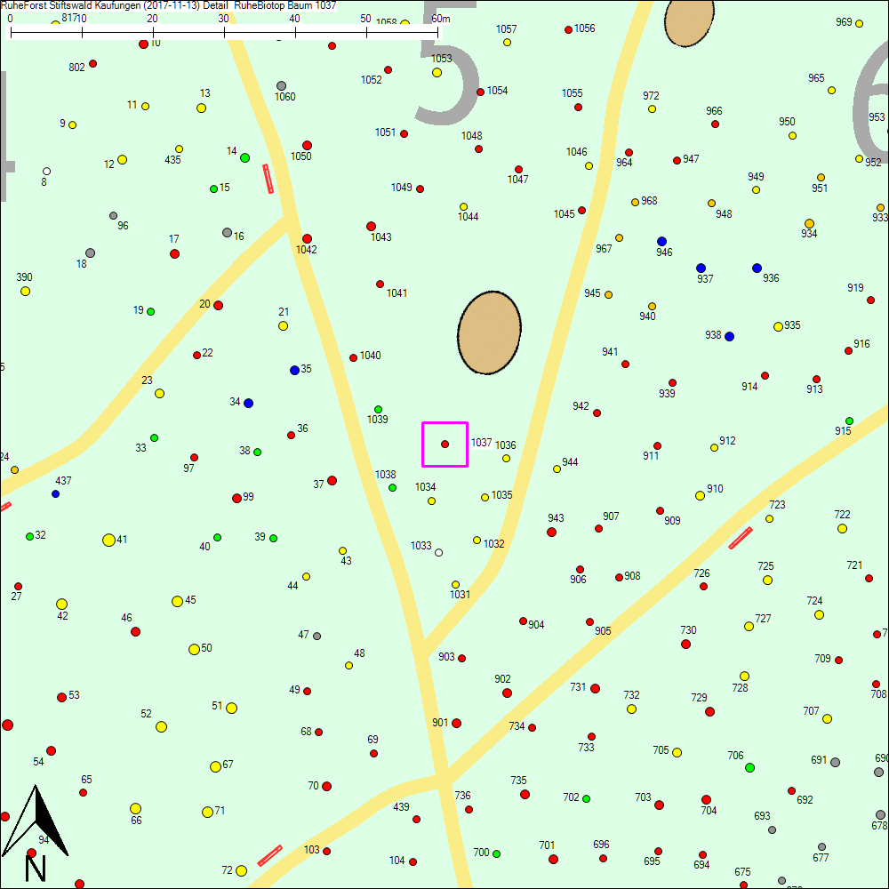 Detailkarte zu Baum 1037