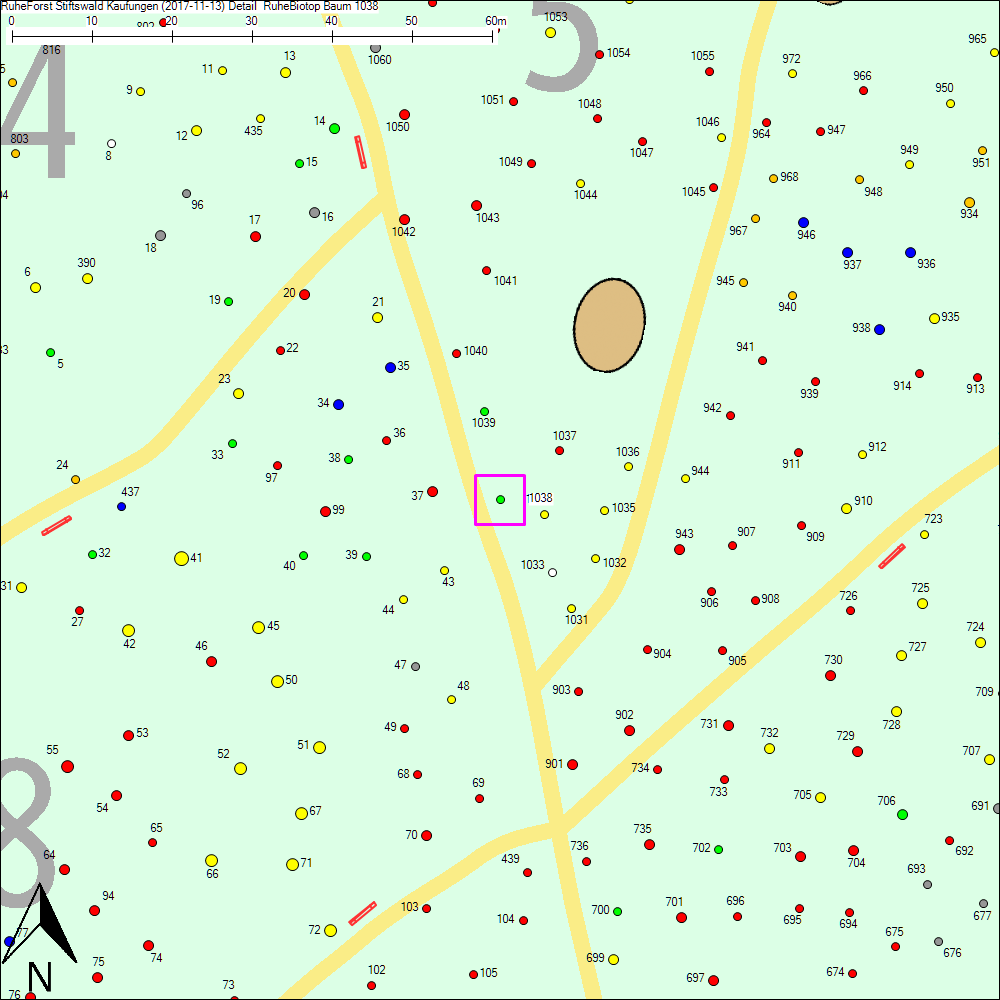 Detailkarte zu Baum 1038