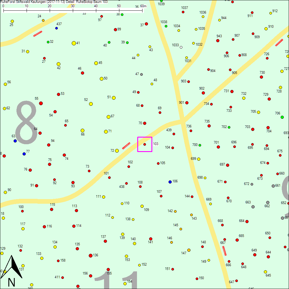 Detailkarte zu Baum 103