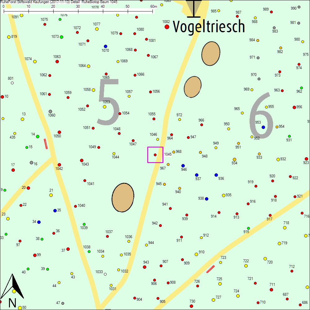 Detailkarte zu Baum 1045