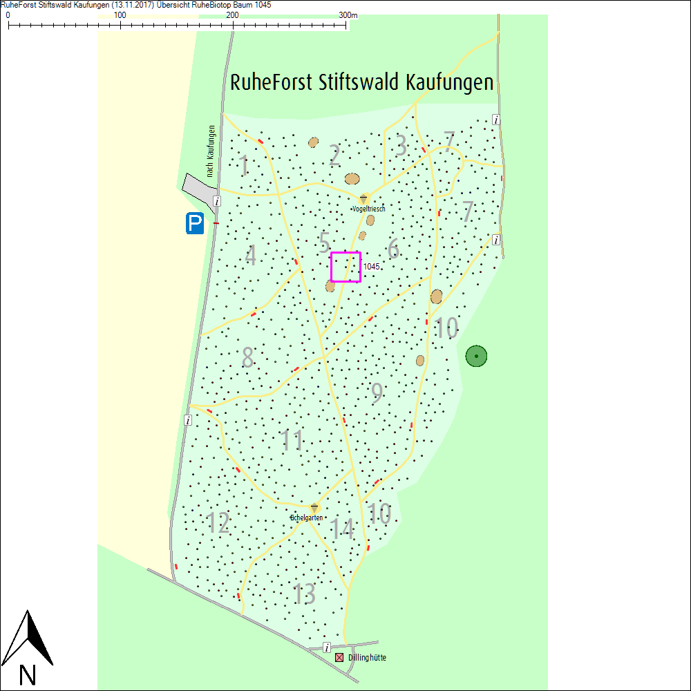&Uuml;bersichtskarte zu Baum 1045