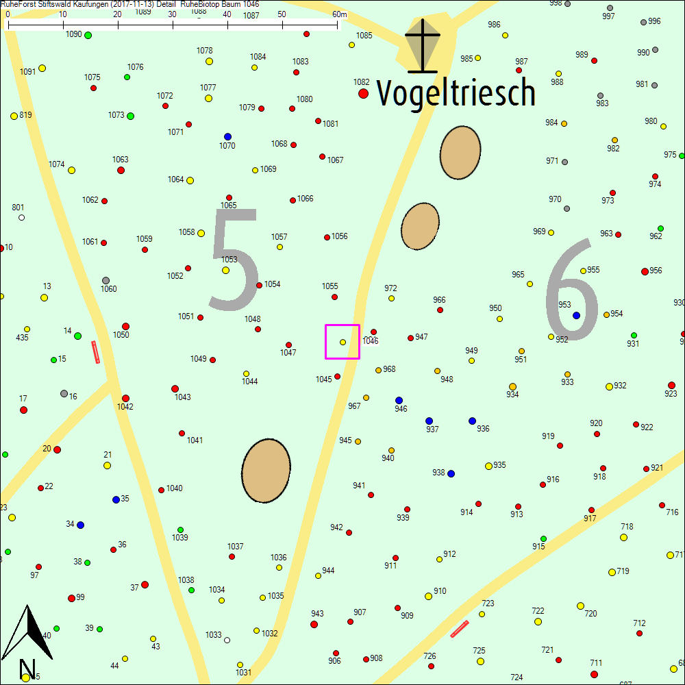 Detailkarte zu Baum 1046