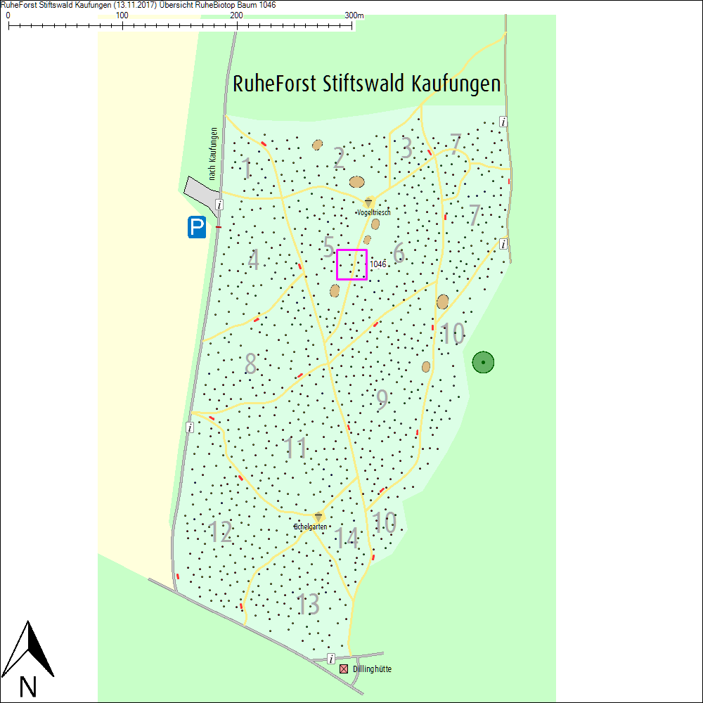 &Uuml;bersichtskarte zu Baum 1046