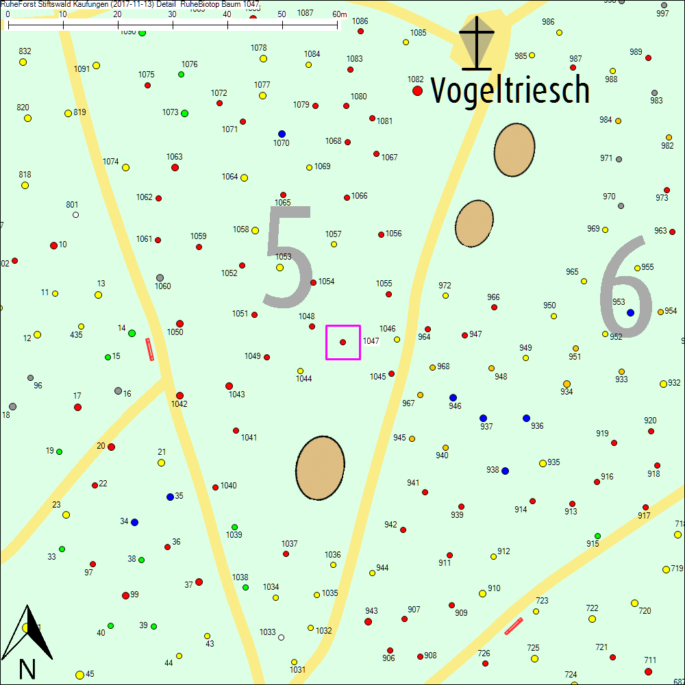 Detailkarte zu Baum 1047