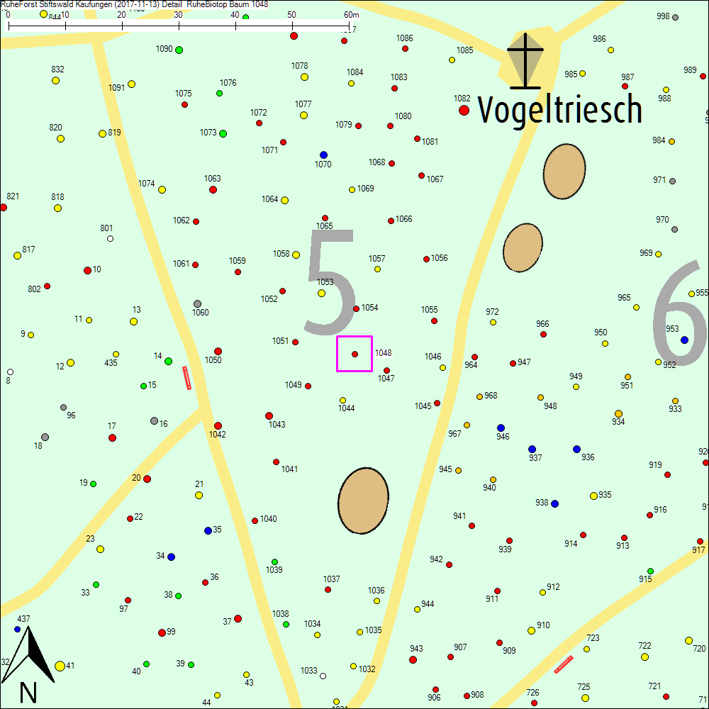 Detailkarte zu Baum 1048
