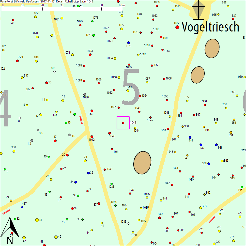 Detailkarte zu Baum 1049