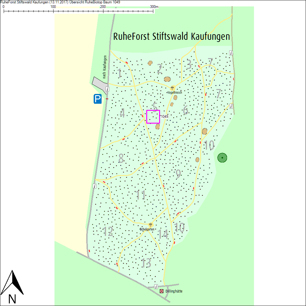 &Uuml;bersichtskarte zu Baum 1049