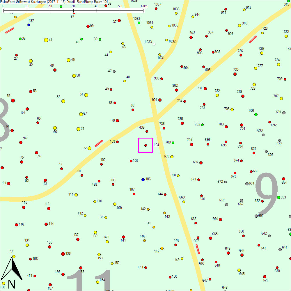 Detailkarte zu Baum 104