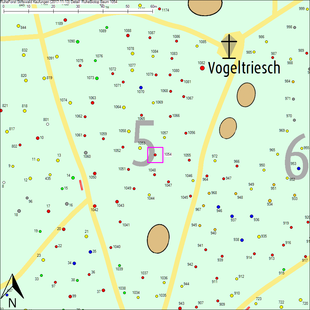 Detailkarte zu Baum 1054